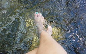 conexión con la naturaleza